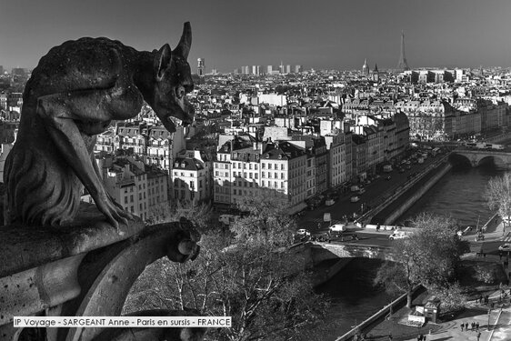 IP Voyage - SARGEANT Anne - Paris en sursis - FRANCE.jpg