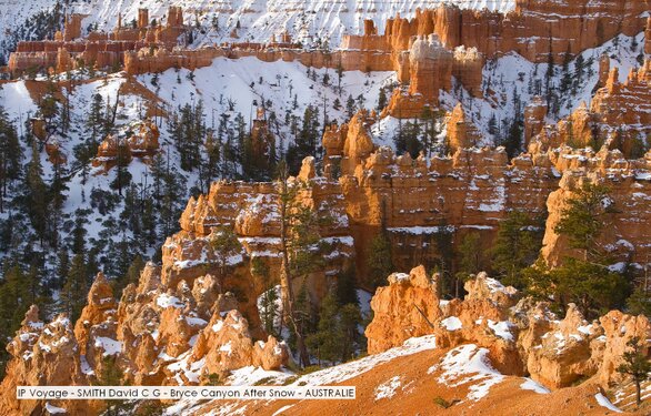 IP Voyage - SMITH David C G - Bryce Canyon After Snow - AUSTRALIE.jpg