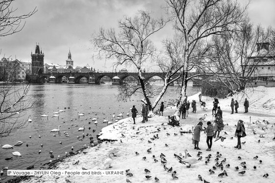 IP Voyage - ZHYLIN Oleg - People and birds - UKRAINE.jpg