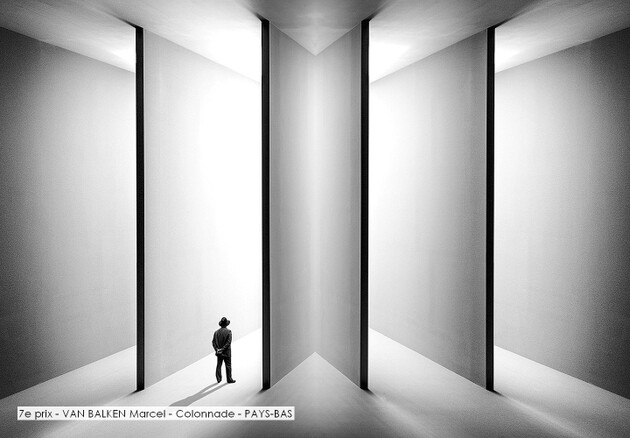7e prix - VAN BALKEN Marcel - Colonnade - PAYS-BAS.jpg