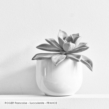 ROGER Francoise - Succulente - FRANCE.jpg