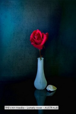 TREVAN Nadia - Lonely rose - AUSTRALIE.jpg